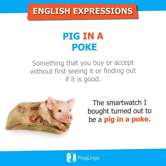 PIG IN a POKE