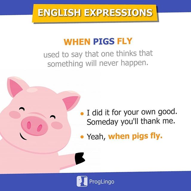 WHEN pigs FLY