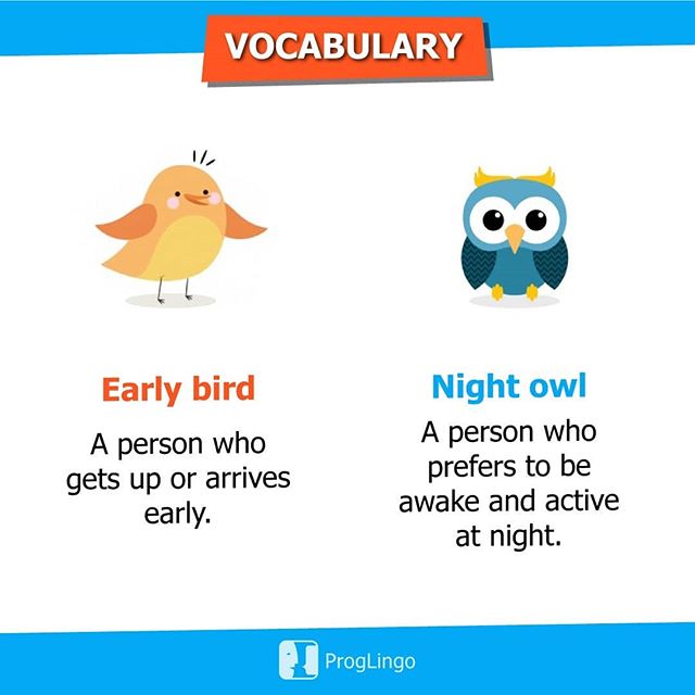 Early bird and Night owl