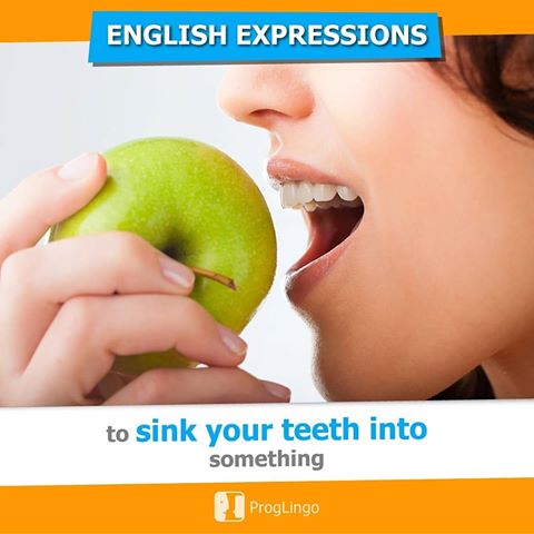 to SINK your TEETH into something